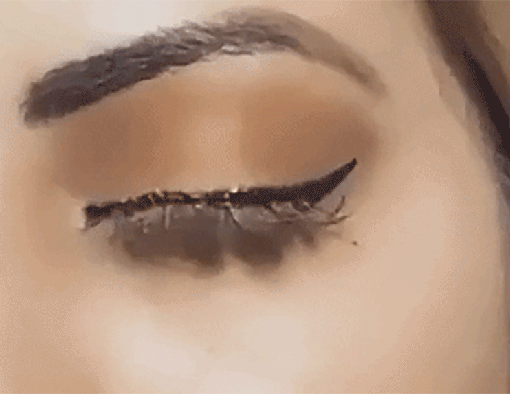 all the little royals: inner cateye glam Images High... Cat Eye Glam | The Quick Flick